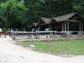 IMG_7635.JPG