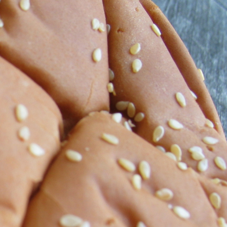 sesame seed bun
