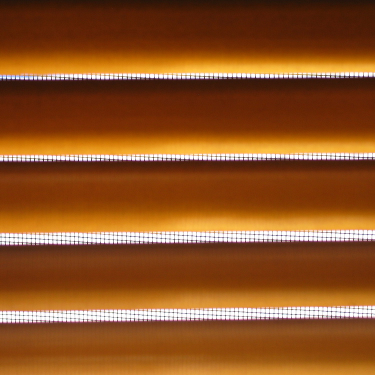 upstairs mini-blinds