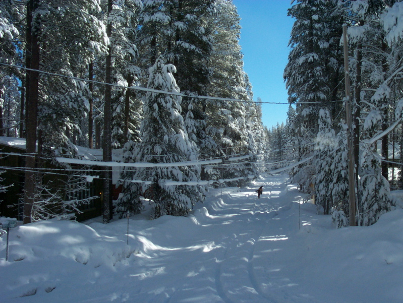 snowed_in