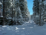 snowed_in