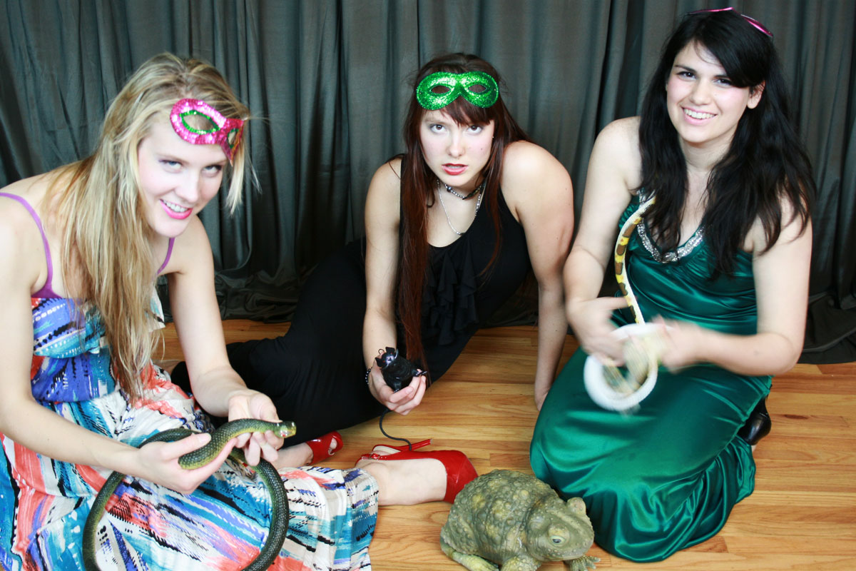 Masquerade ball image
