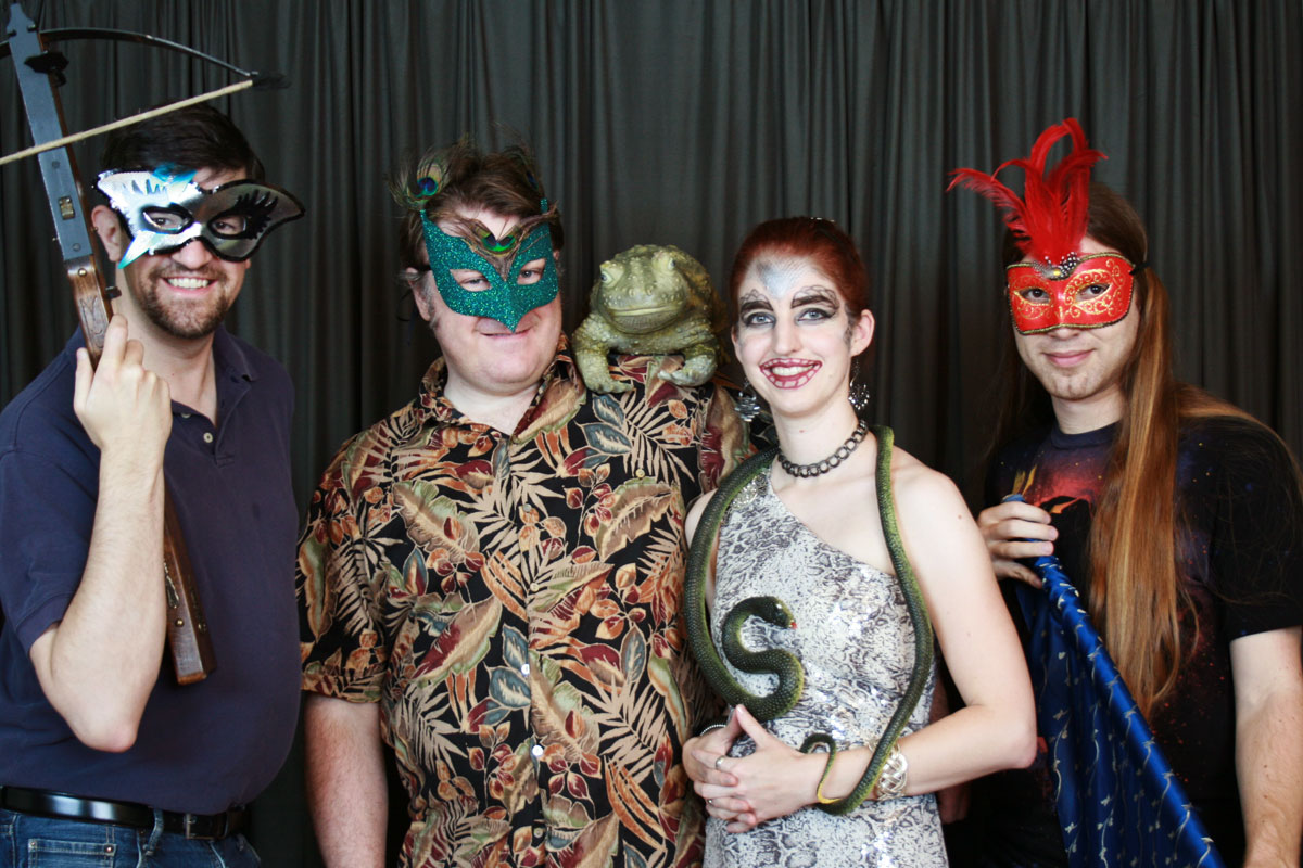 Masquerade ball image